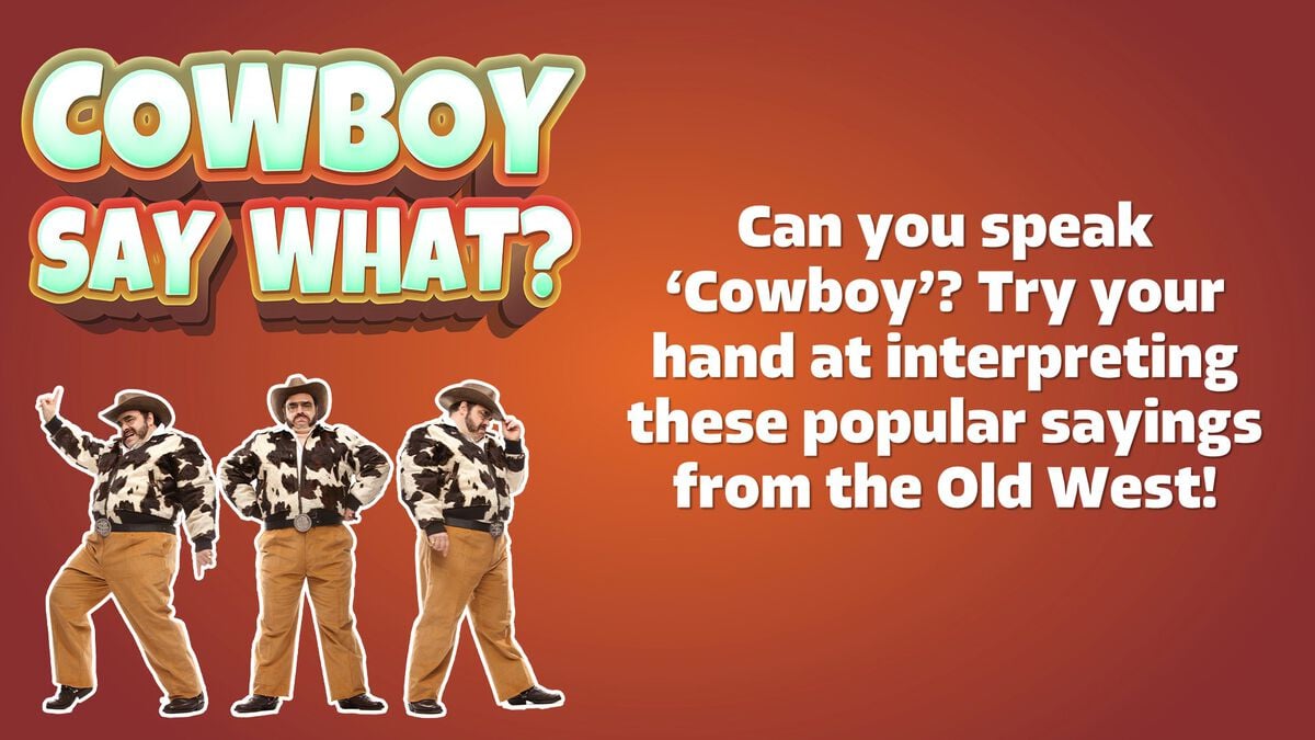 Cowboy Say What? image number null